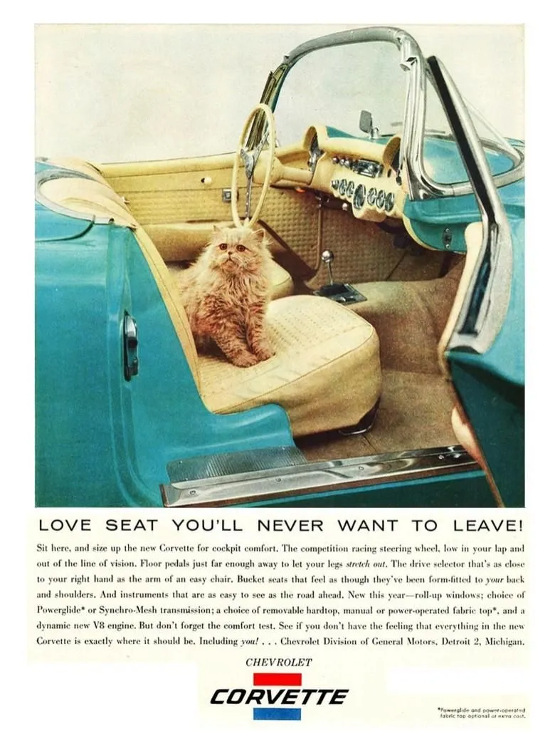 In this cozy Corvette ad, Chevrolet wants you to fall in love—with a car seat. And to prove how irresistibly comfortable it is, they enlisted the fluffiest, most judgmental-looking cat in the western hemisphere. Forget horsepower or cornering stats—this feline luxury inspector is here to confirm that the only thing purring louder than the V8 is him. It's like they said, “You know what screams speed and performance? A lap cat in a convertible.”