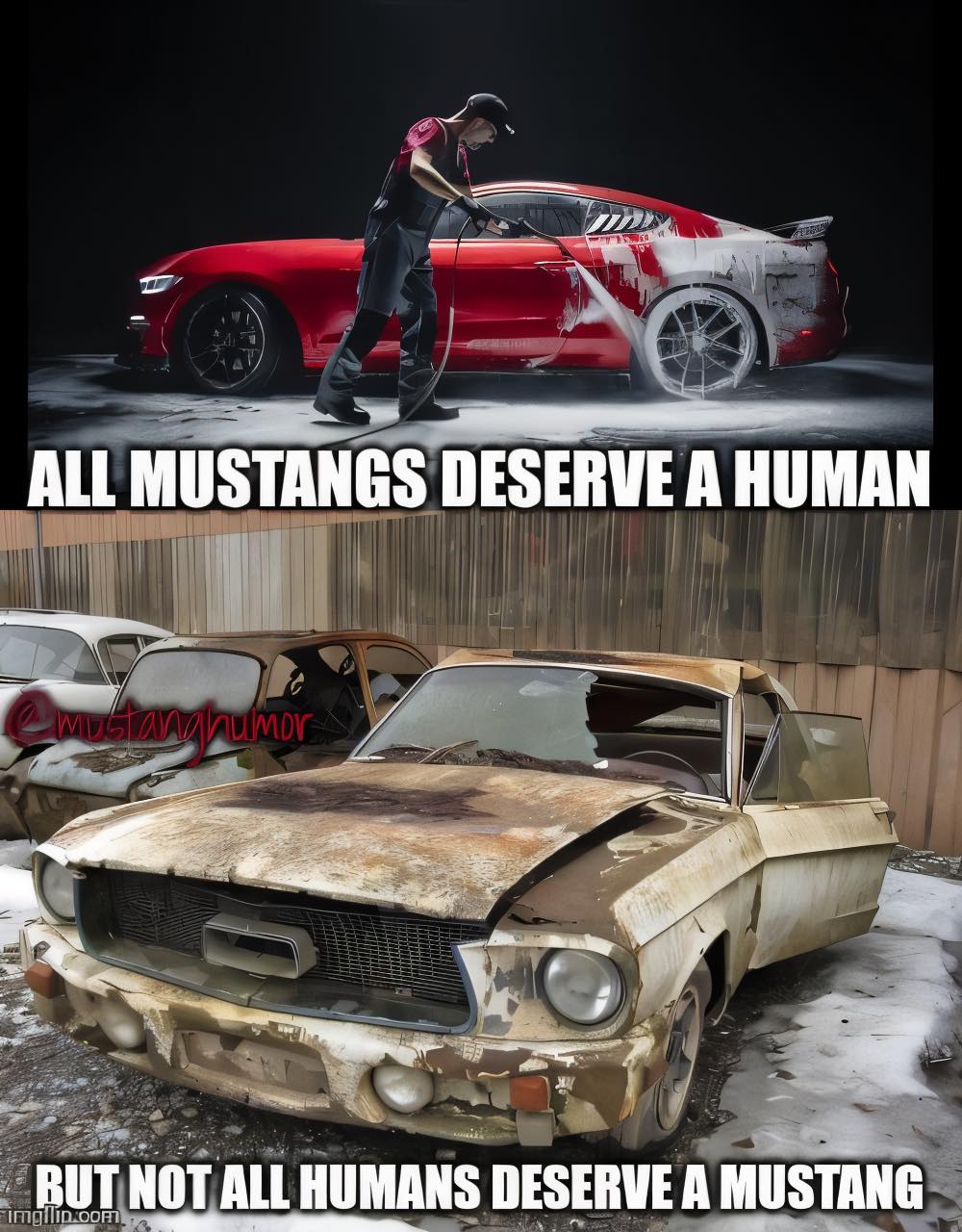 All mustangs deserve a human